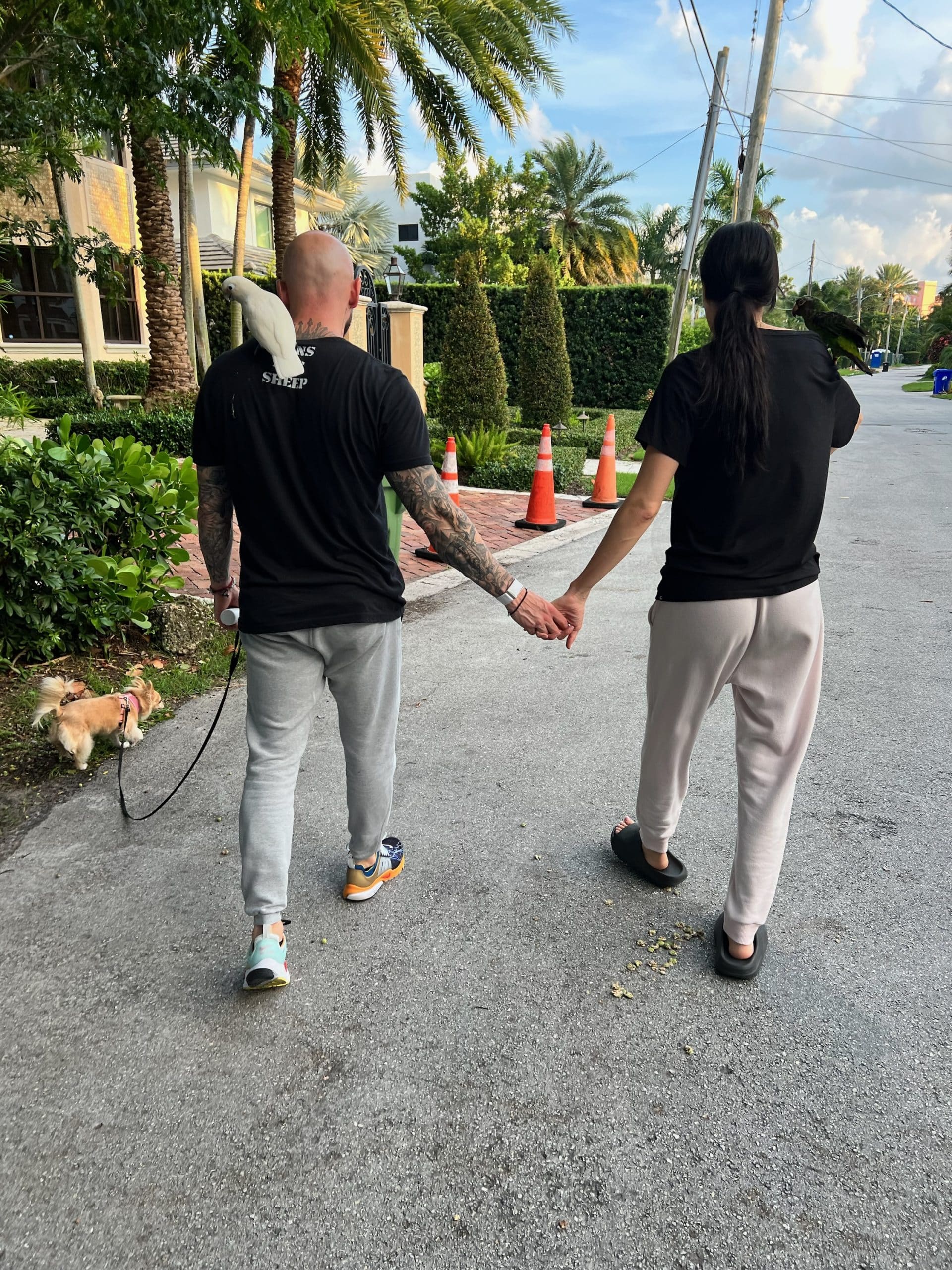 Photo Aug 30 2023, 7 07 11 PM