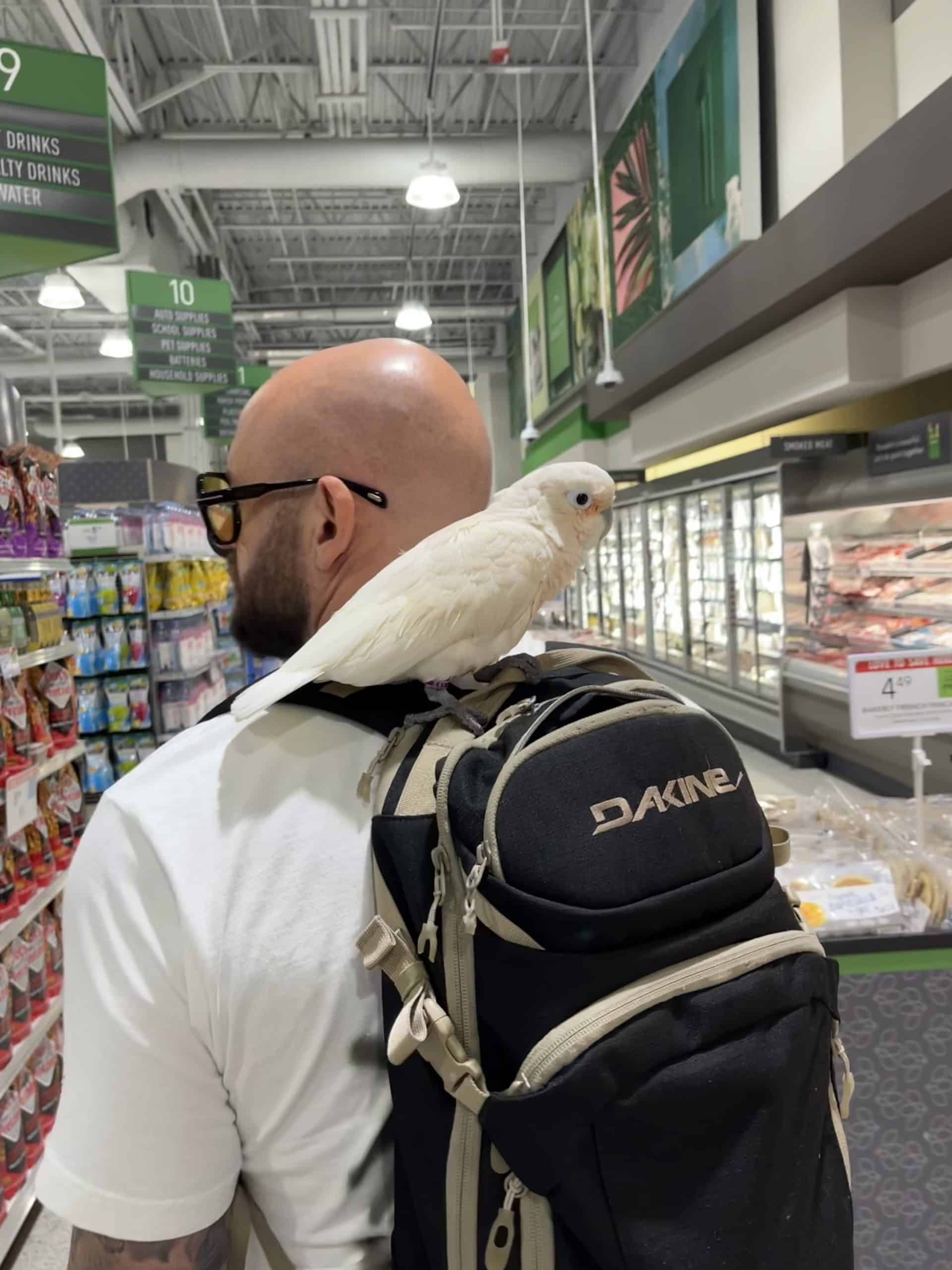 Photo Jun 30 2023, 2 41 22 PM