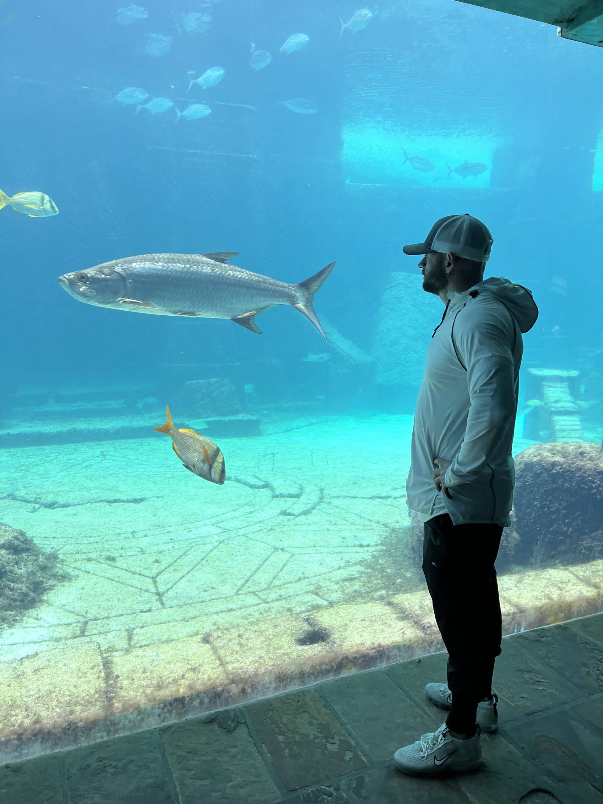 Photo Mar 15 2023, 4 03 58 PM