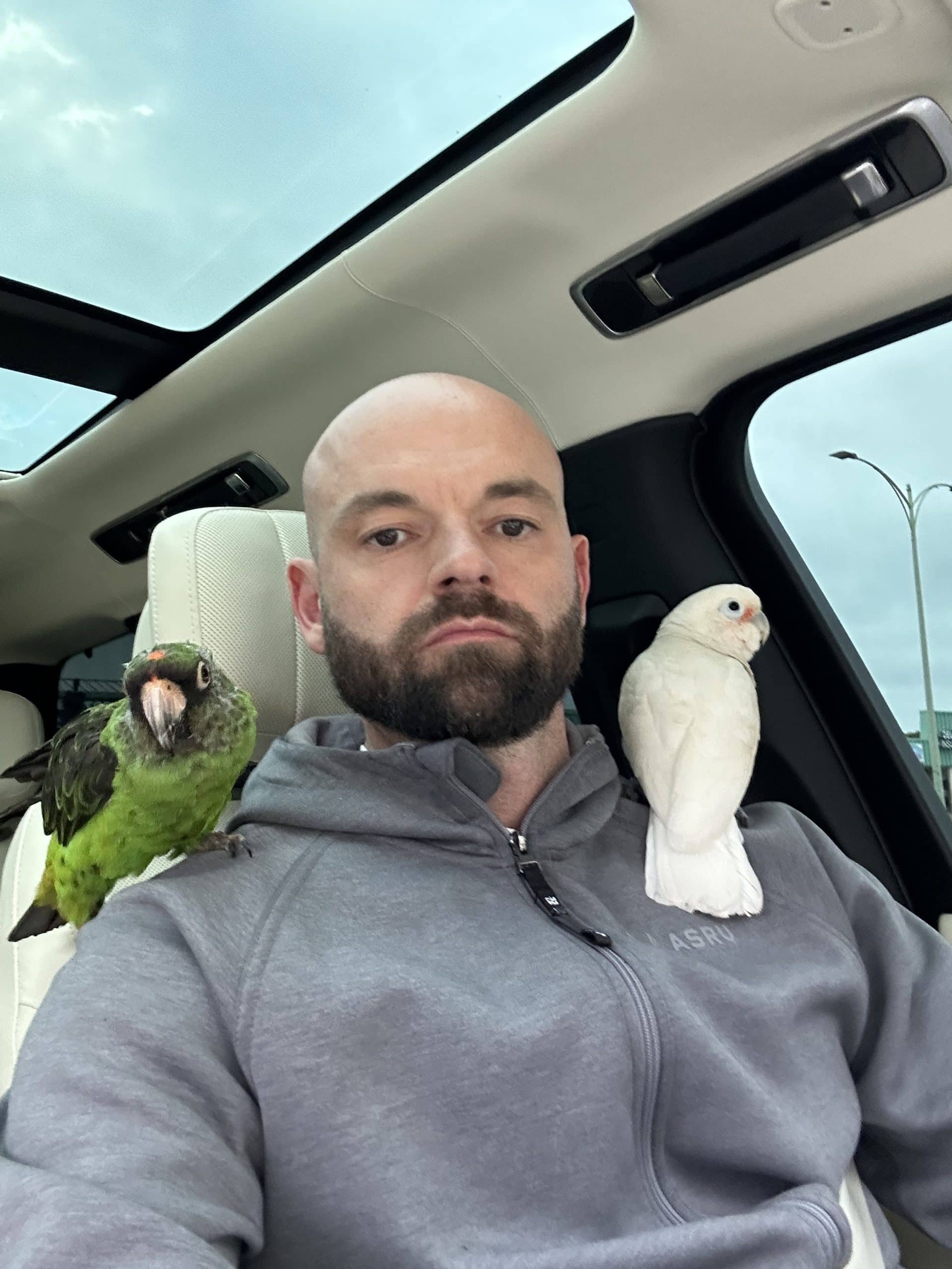 Photo Mar 19 2023, 6 36 46 PM