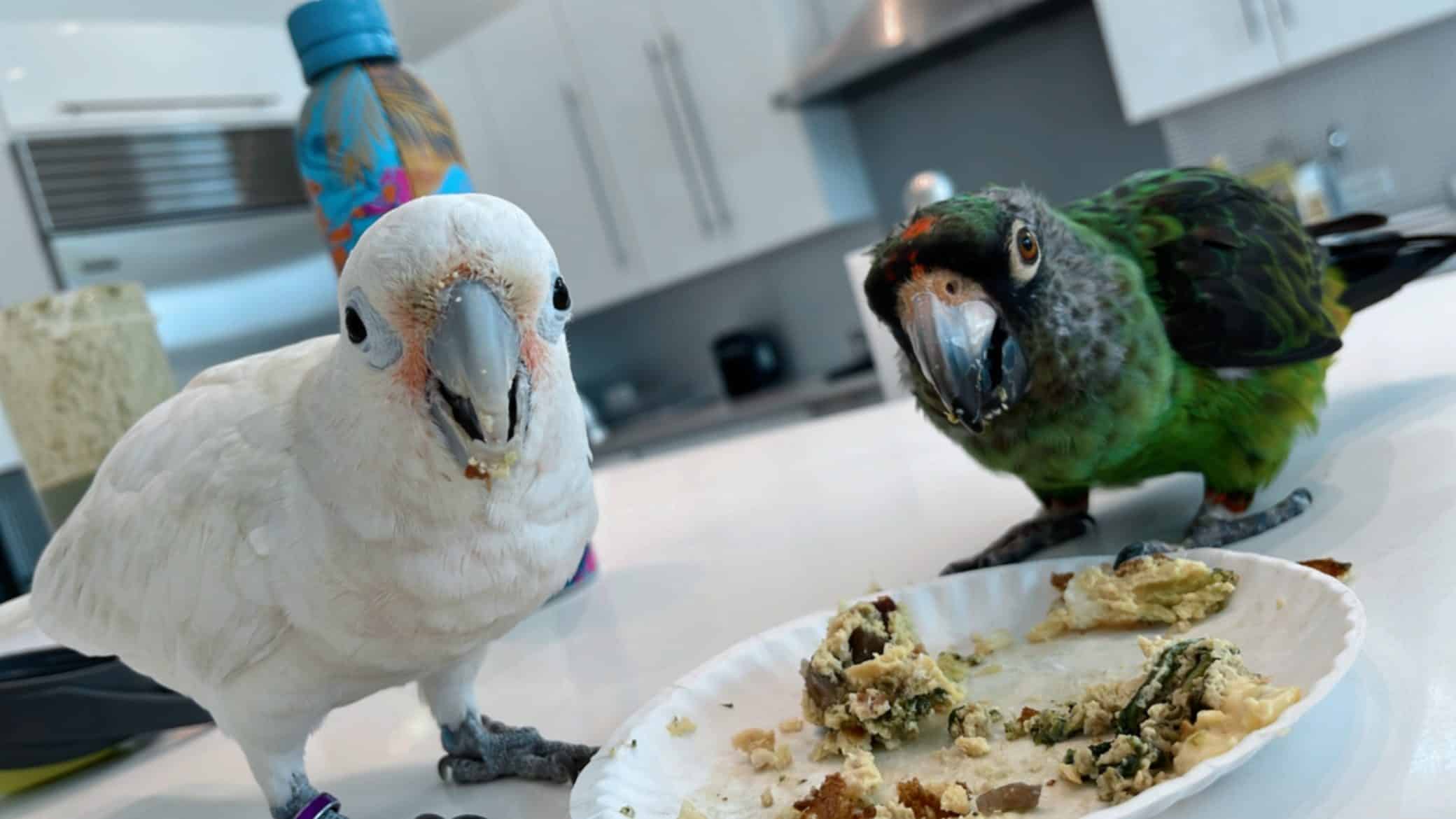 Photo May 22 2023, 1 04 10 PM